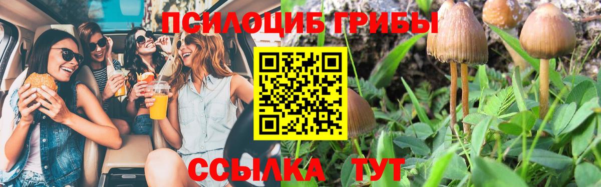 Галлюциногенные грибы прущие грибы  Вход с VPN  Серов 