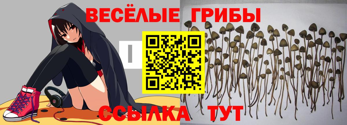 LSD-25 Серов